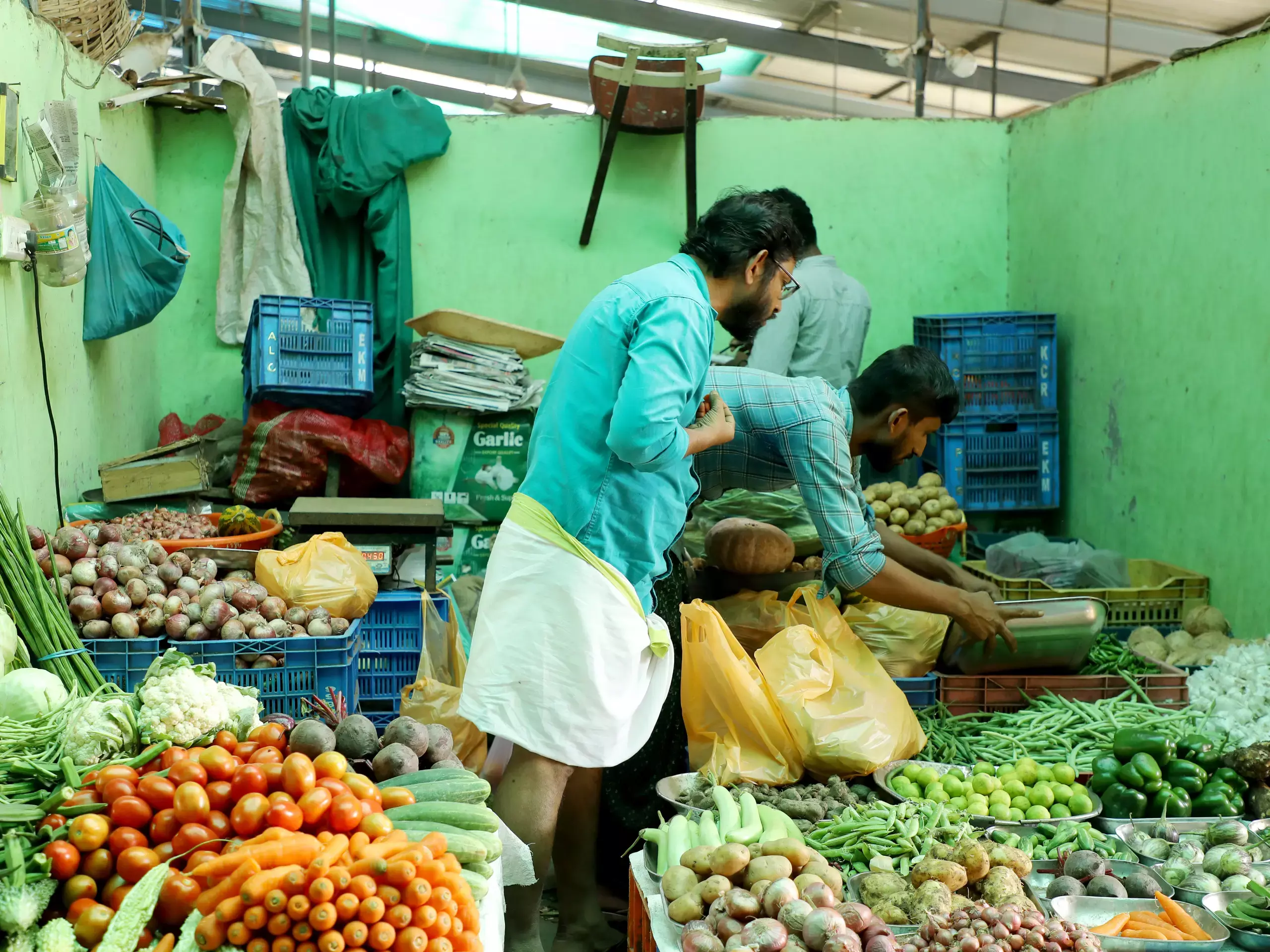 wpi inflation down india wpi inflation down india