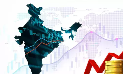 Domestic market ownership rises to 24.44 percent in Dec