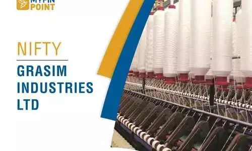 Top Indian Companies: Grasim Industries Ltd
