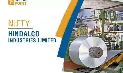 Top Indian Companies: Hindalco Industries Ltd