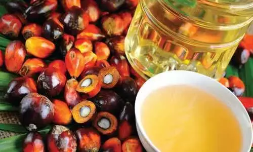 Edible oil import rises 8 pc to 11.35 lakh tonnes in March Edible oil import rises 8 pc to 11.35 lakh tonnes in March