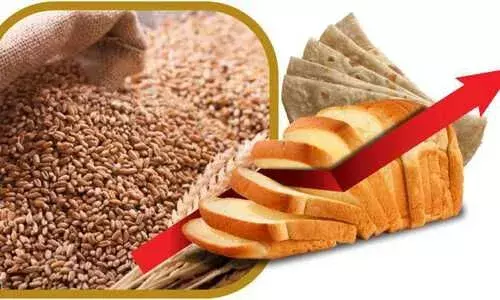 Wheat purchase in Punjab expected to be higher at 120 lakh MT in 2022-23 Wheat purchase in Punjab expected to be higher at 120 lakh MT in 2022-23