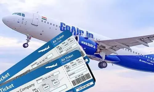 Go First files for voluntary insolvency resolution proceedings