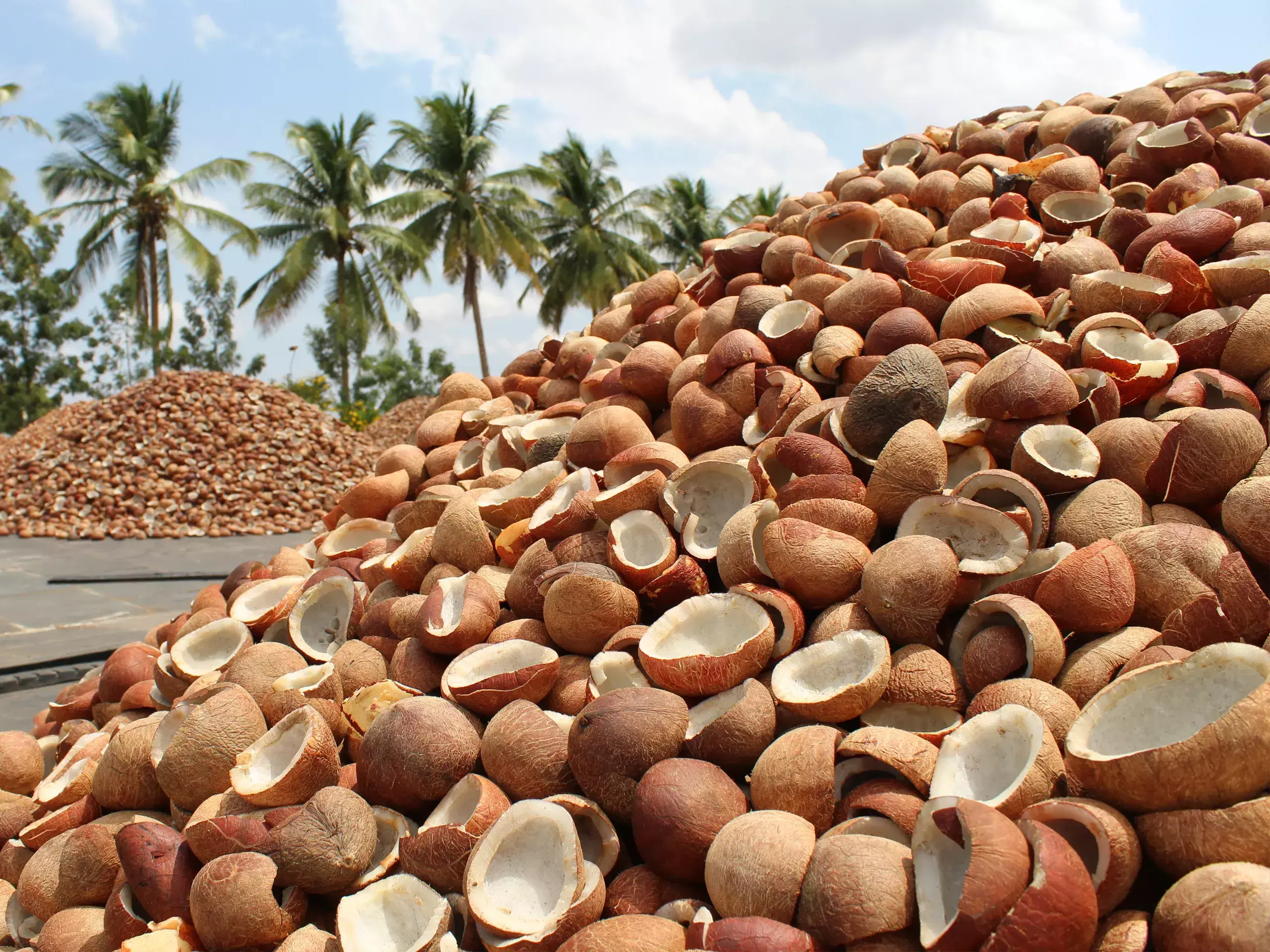 rs250-300 hike in minimum support price of copra, kerala tn farmers to benefit more