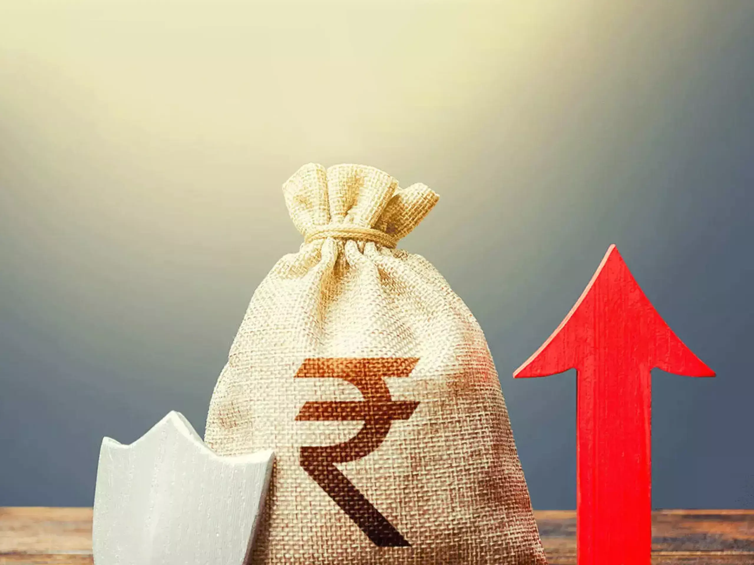 SEBI issues norms for public issuance of ``zero coupen zero principle instruments by NPOs SEBI issues norms for public issuance of ``zero coupen zero principle instruments by NPOs
