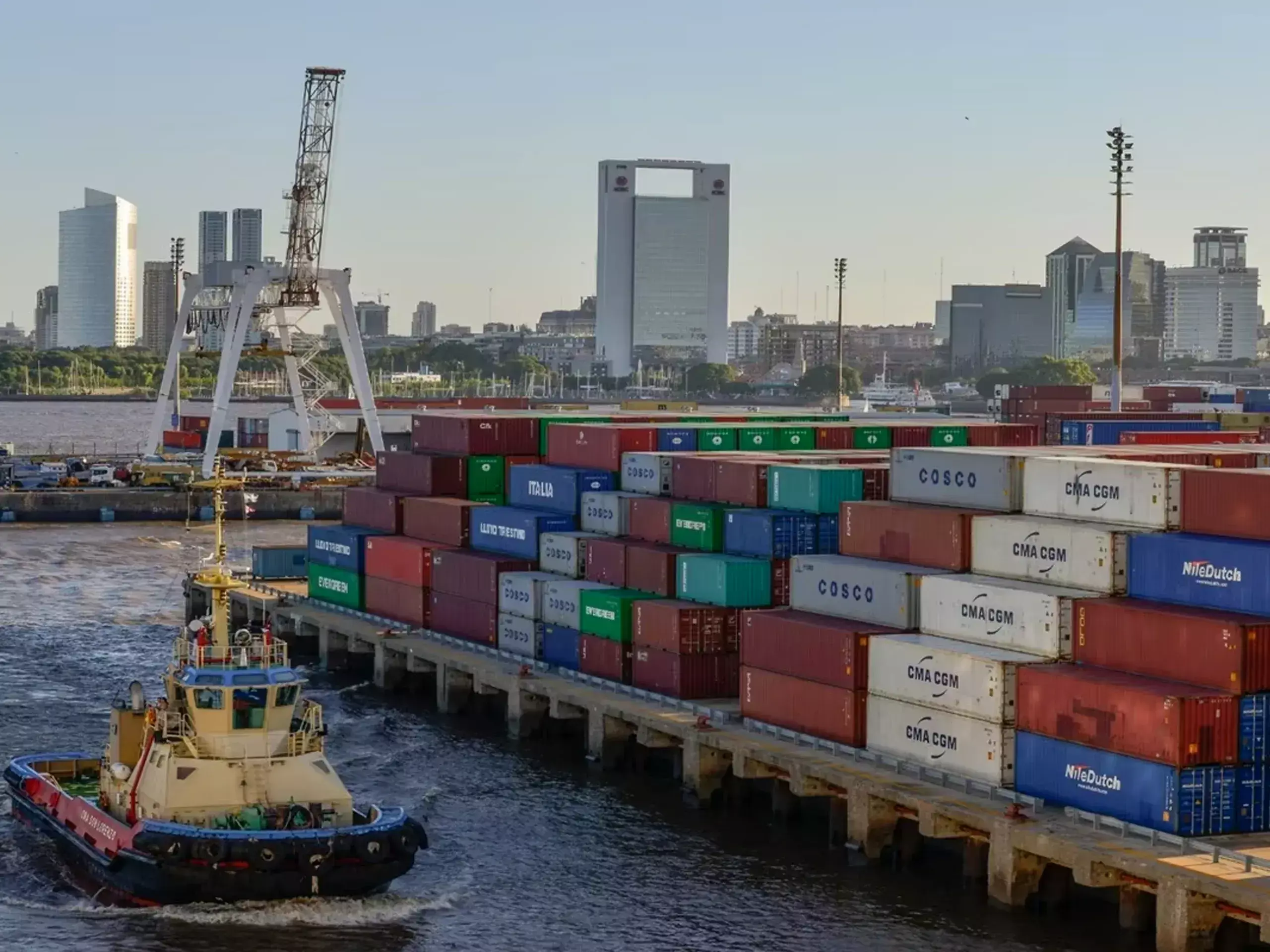 high import tariff ensures indias food security, gtri high import tariff ensures indias food security, gtri