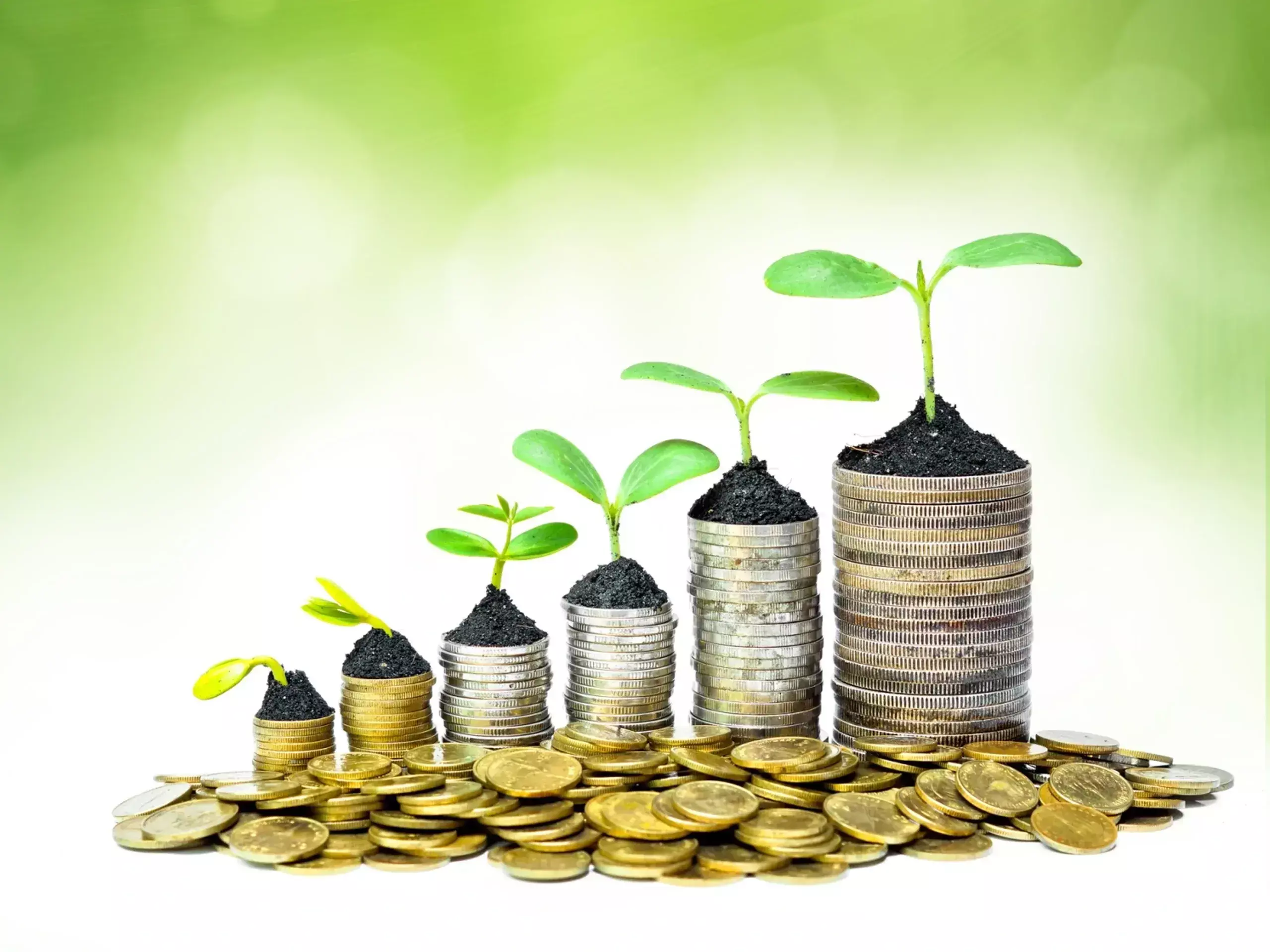 investment bankers fee income hits record $1.3 billion in 2023