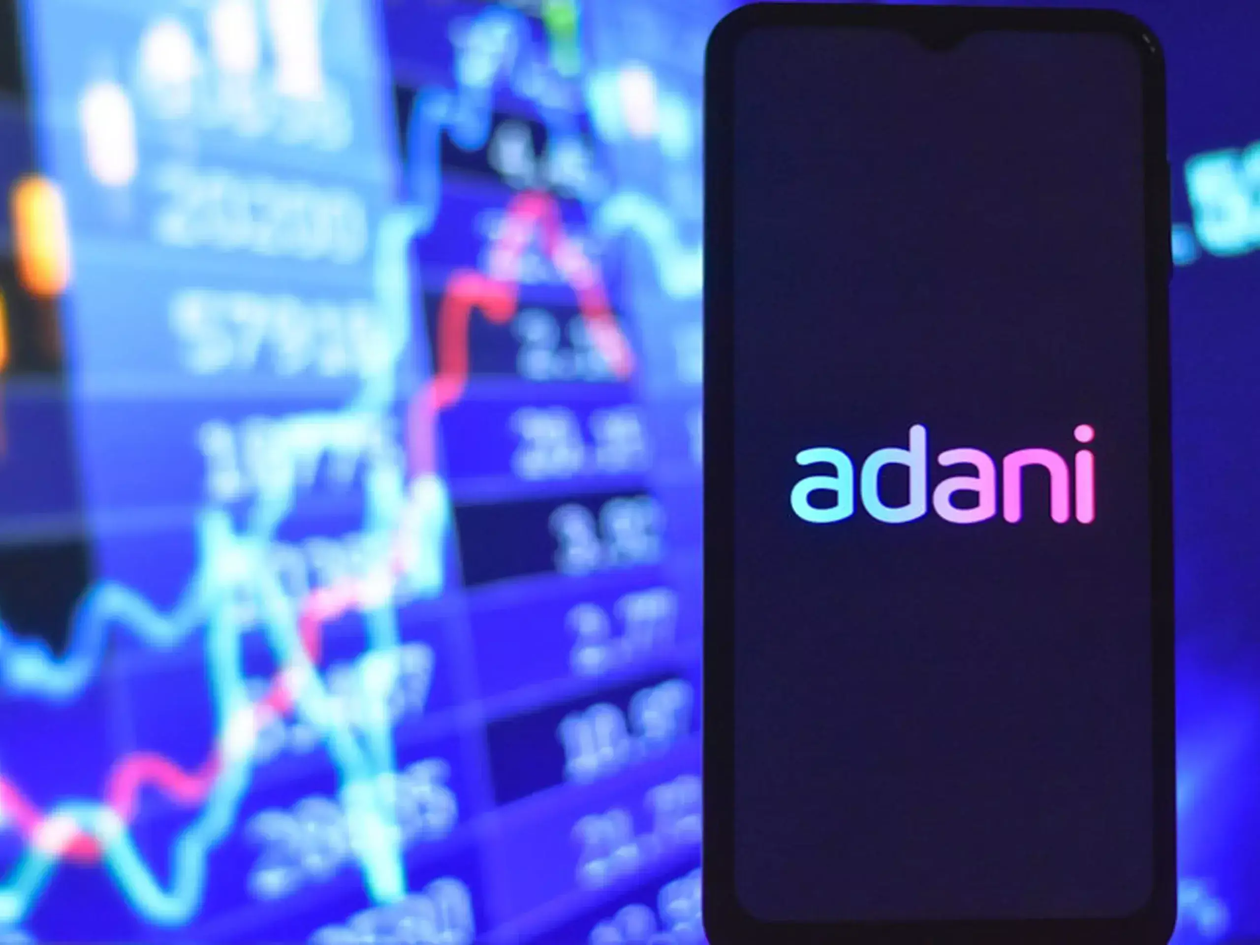 domestic invetors raise stakes in 5 adani group companies