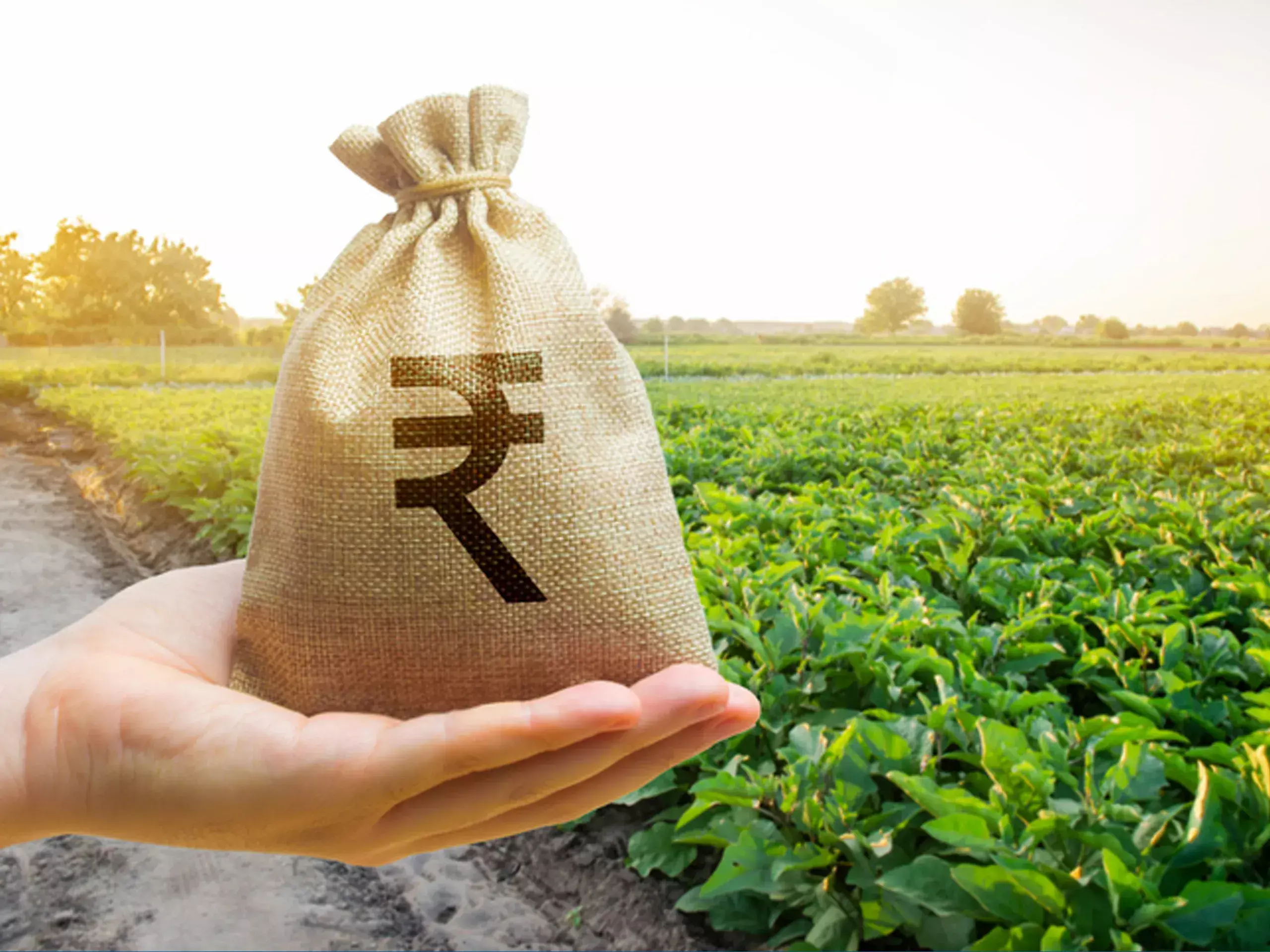 higher budgetary allocation likely for farm sector higher budgetary allocation likely for farm sector