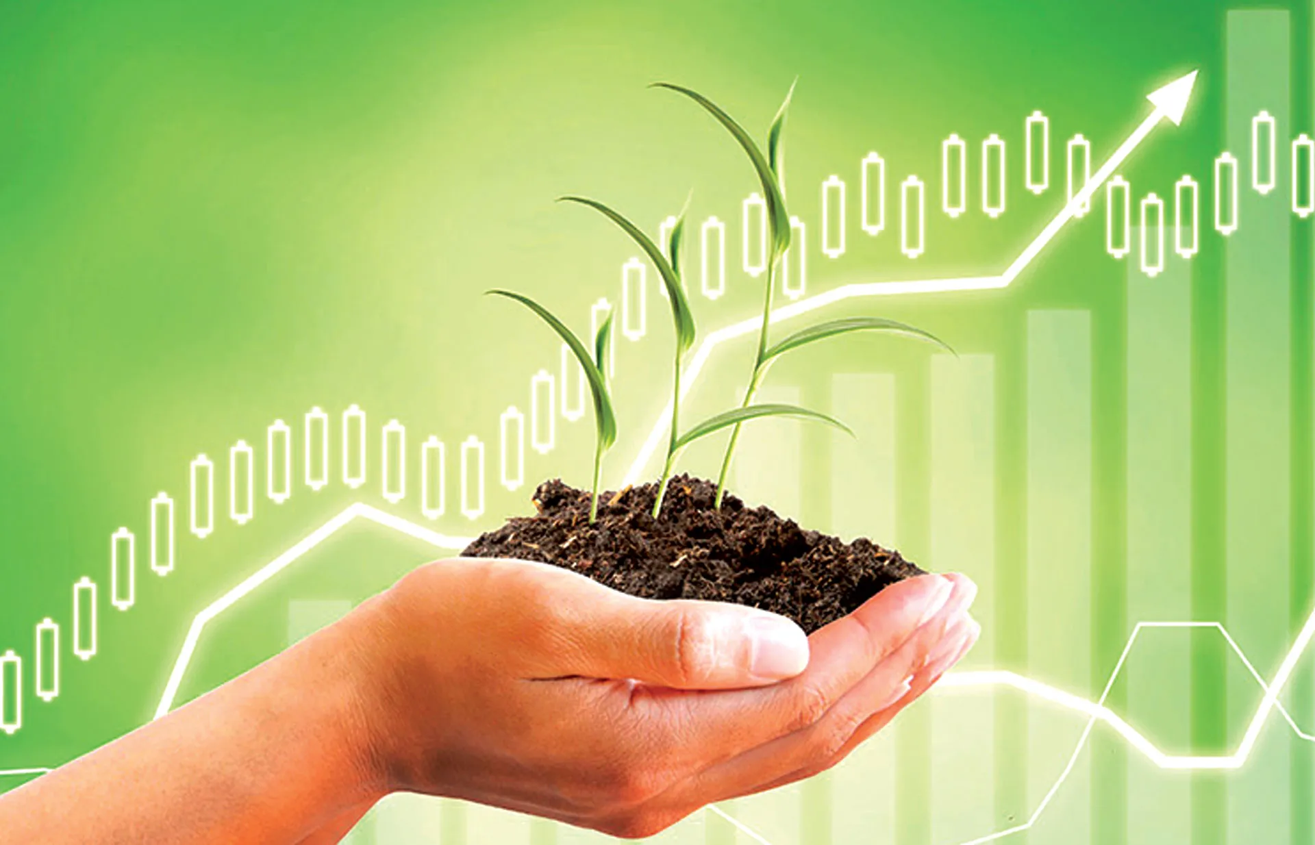 Agritech startup Fasal raises Rs100 crore from investors to expand business Agritech startup Fasal raises Rs100 crore from investors to expand business