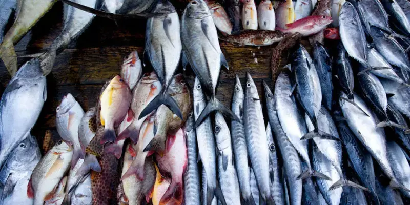Qatar lifts ban on frozen seafood from India