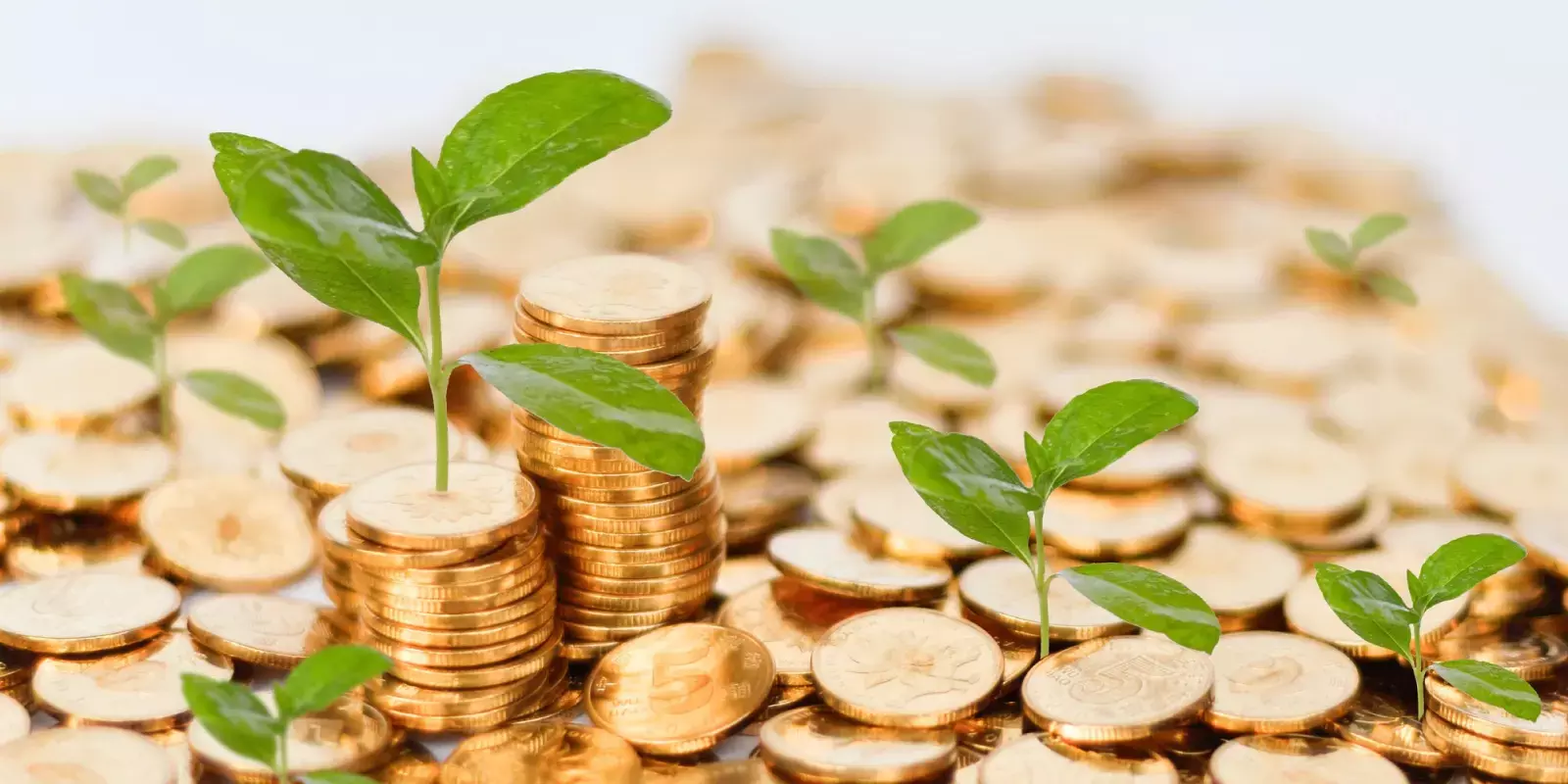 Small stocks shine in 2023, small cap jumps 13,074.96 points (45.20 %), mid cap surges10,568.18 points (41.74 %) on BSE