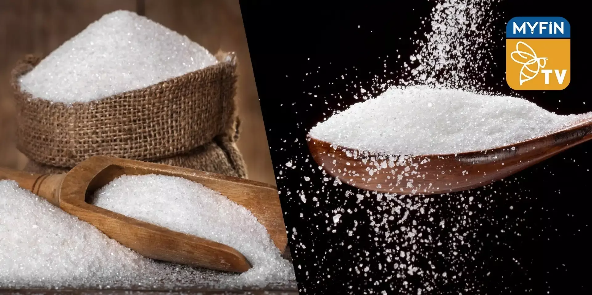 Indias sugar exports at 27.83 lakh tonnes in 2022-23 so far: AISTA